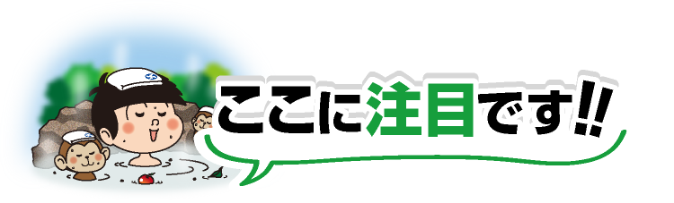 ここに注目だぞう！！